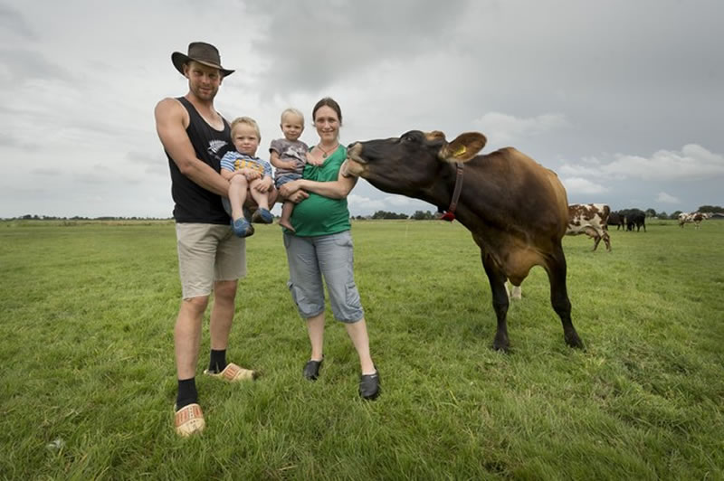 Biologisch boerderij ijs